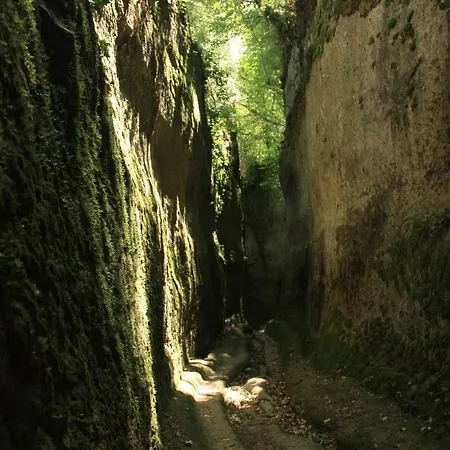 Farma Casa Maria Magliano in Toscana