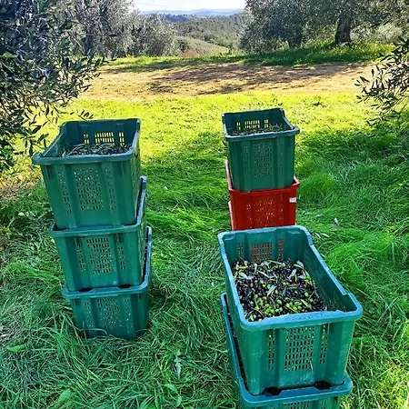 Farm stay Casa Maria Magliano in Toscana