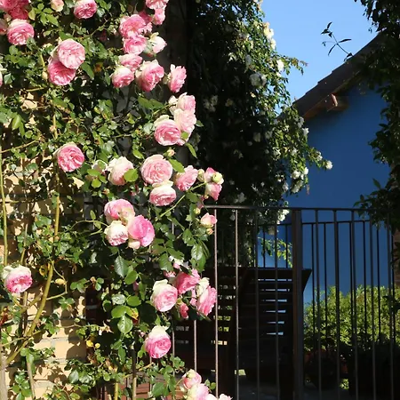 Casa Maria *